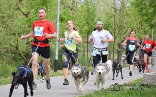 6. tek kuzkov Trzin_foto Natasa Frelih