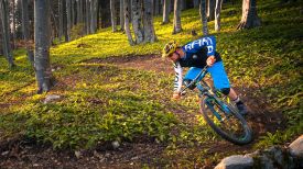 Bike park Krvavec