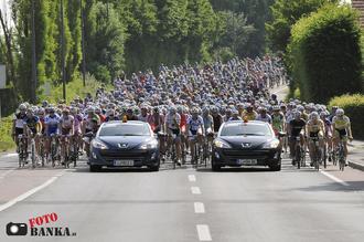 maraton prijateljstva ljubljana