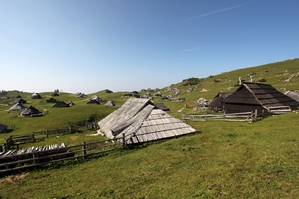 Velika planina