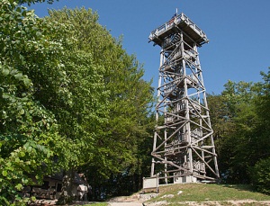 Planina nad Vrhniko