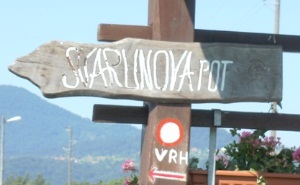 Svarunova pot