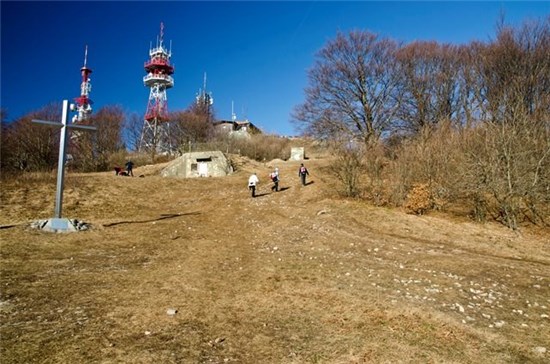 Pohod