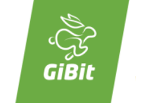 gibit