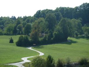 Čemeniška grajska pot - pogled na Lisičje